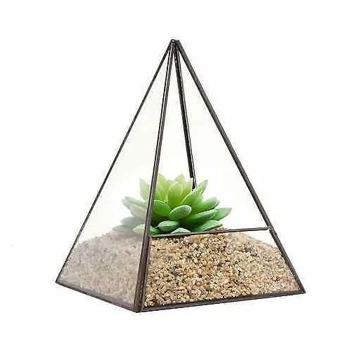Elegant Design For Home Decoration Cage Bonsai Terrarium For Succulent Plant Handicraft Supplier From India