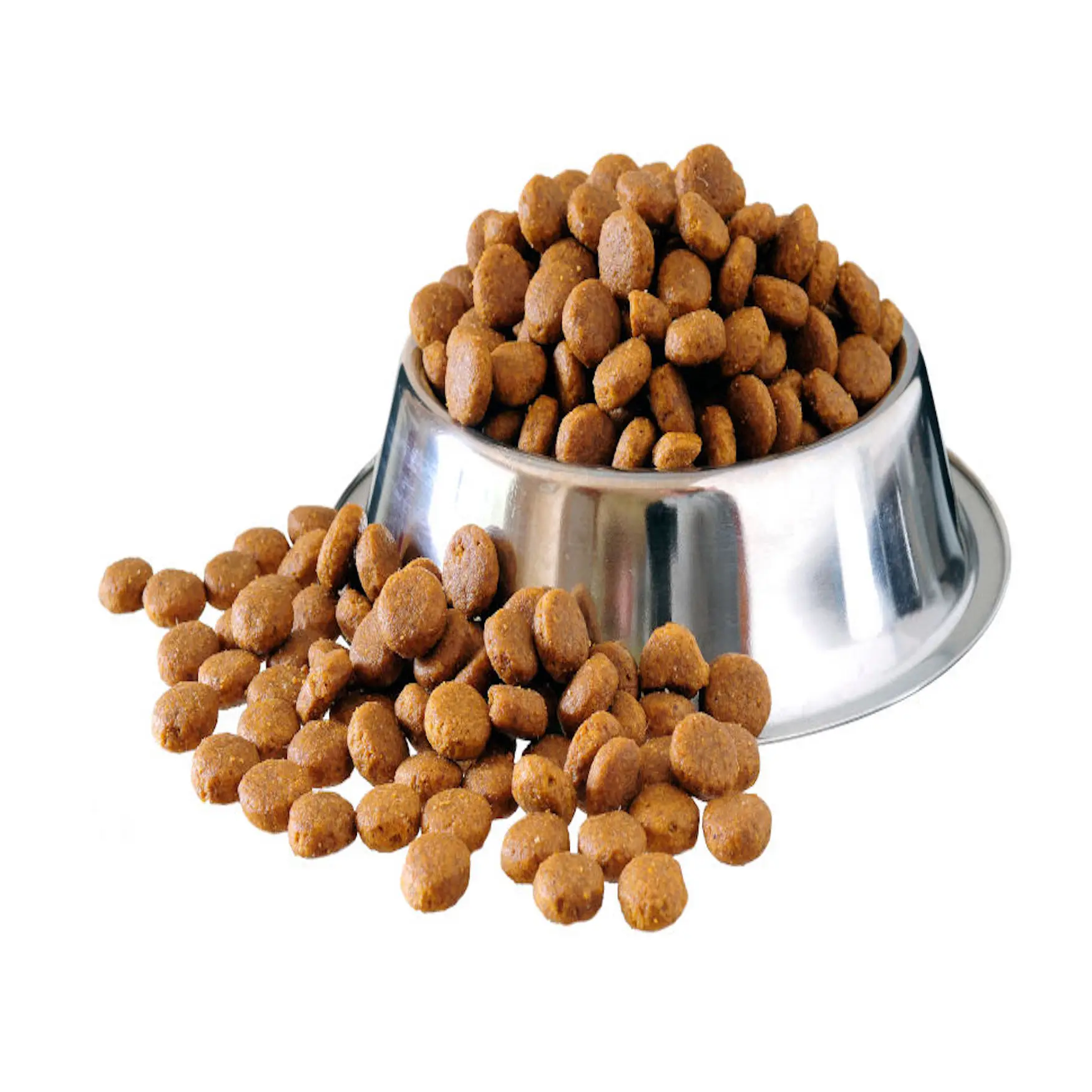 
Pet supplies/ Dog Wet /Cat Food  (1700003820046)