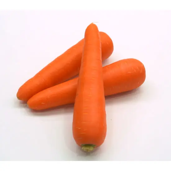 Стандартный экспорт свежих овощей-свежая морковка по идеальной цене