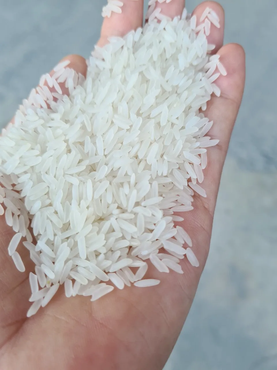 Вьетнамский производитель и экспортер жасминового риса + 84 976727907