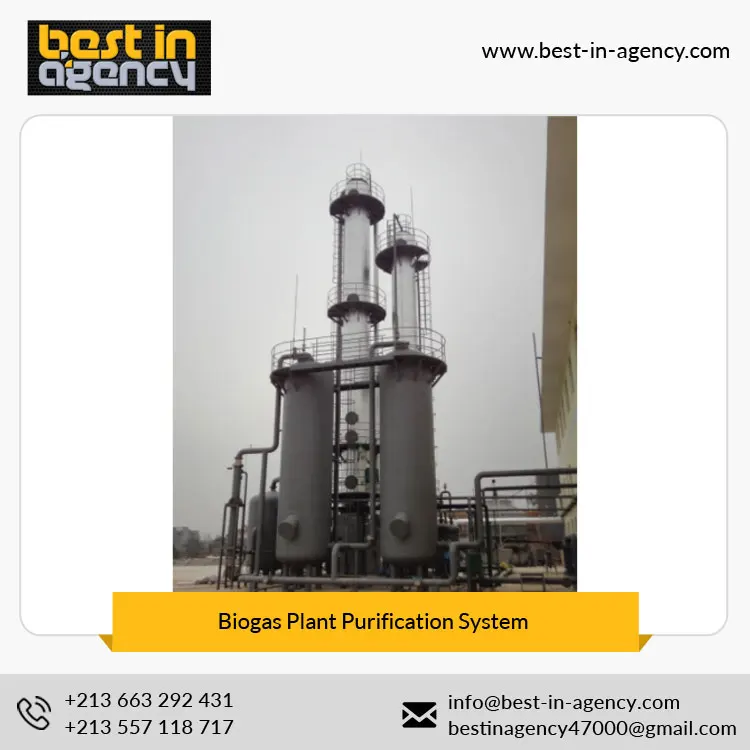 Dry and Wet Anaerobic Biogas-Nature Gas Conversion Plant Upgrading/Decarburization/Purification System