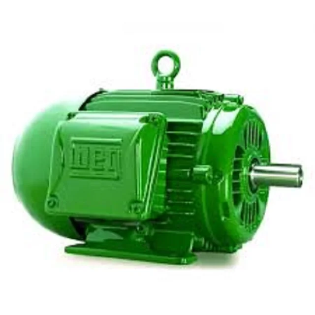 
WEG Electric Motor 