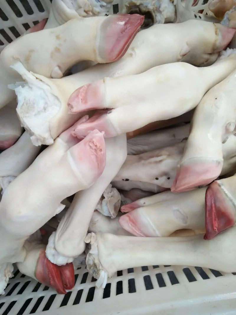 
Halal Buffalo Boneless Meat/ Frozen Beef ,cow meat,Goat beef meat for wholesale 