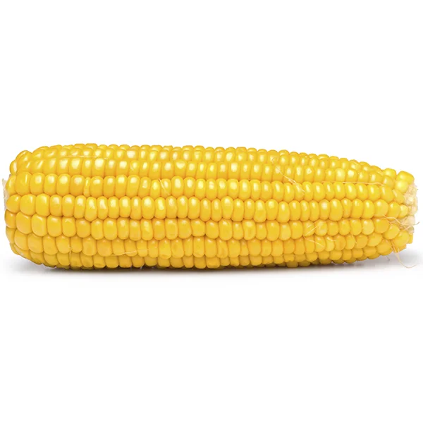 Best selling high on demand standard quality dried yellow corn at 100% wholesale exporter from India