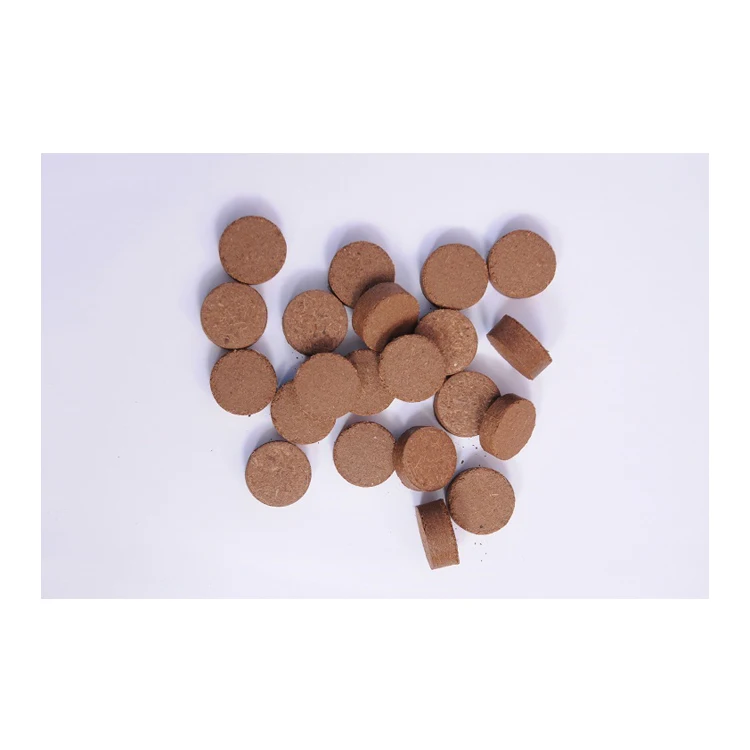 Agricultural Grade Coconut Coco Peat Seed Starter Germination Plugs at Competitive Price Direct From Factory