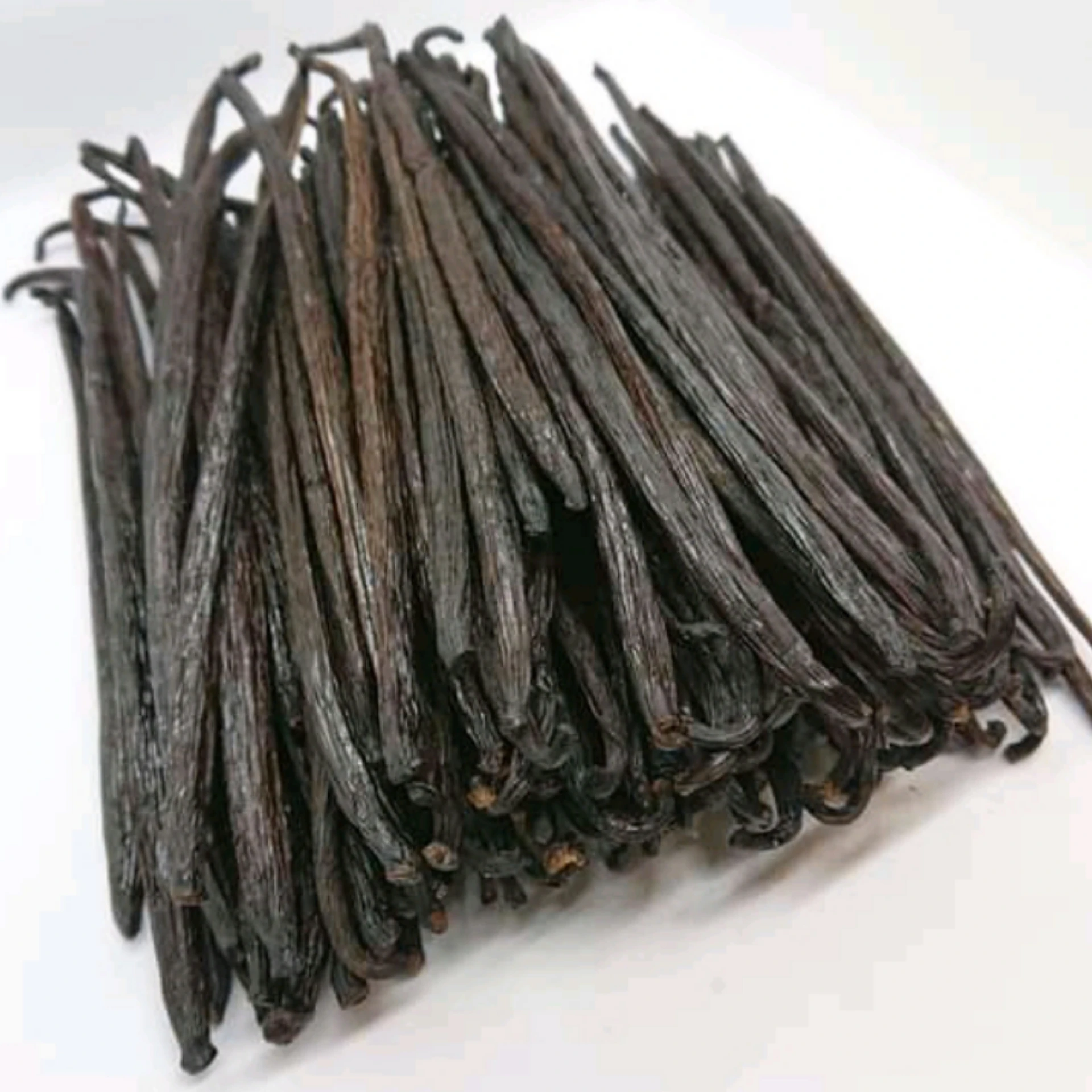 
High Quality Vanilla Beans With Competitive Price 
