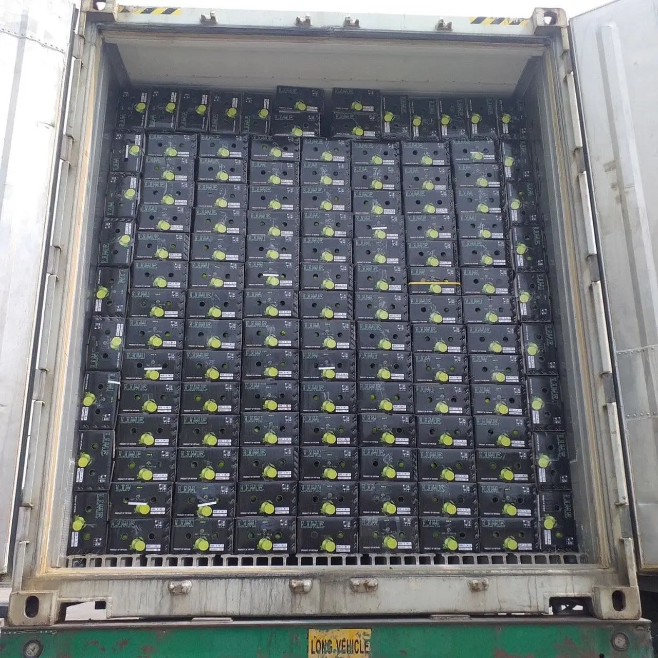 Lemon Seedless, Top Quality Product From Vietnam 2022, lulu lemon  lemon squeezer stainless steel