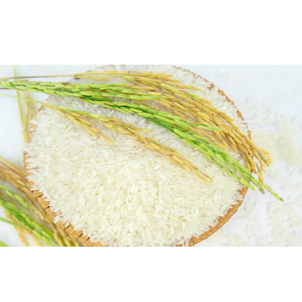 VIETNAM JASMINE RICE BEST QUALITY AND COMPETITIVE PRICE