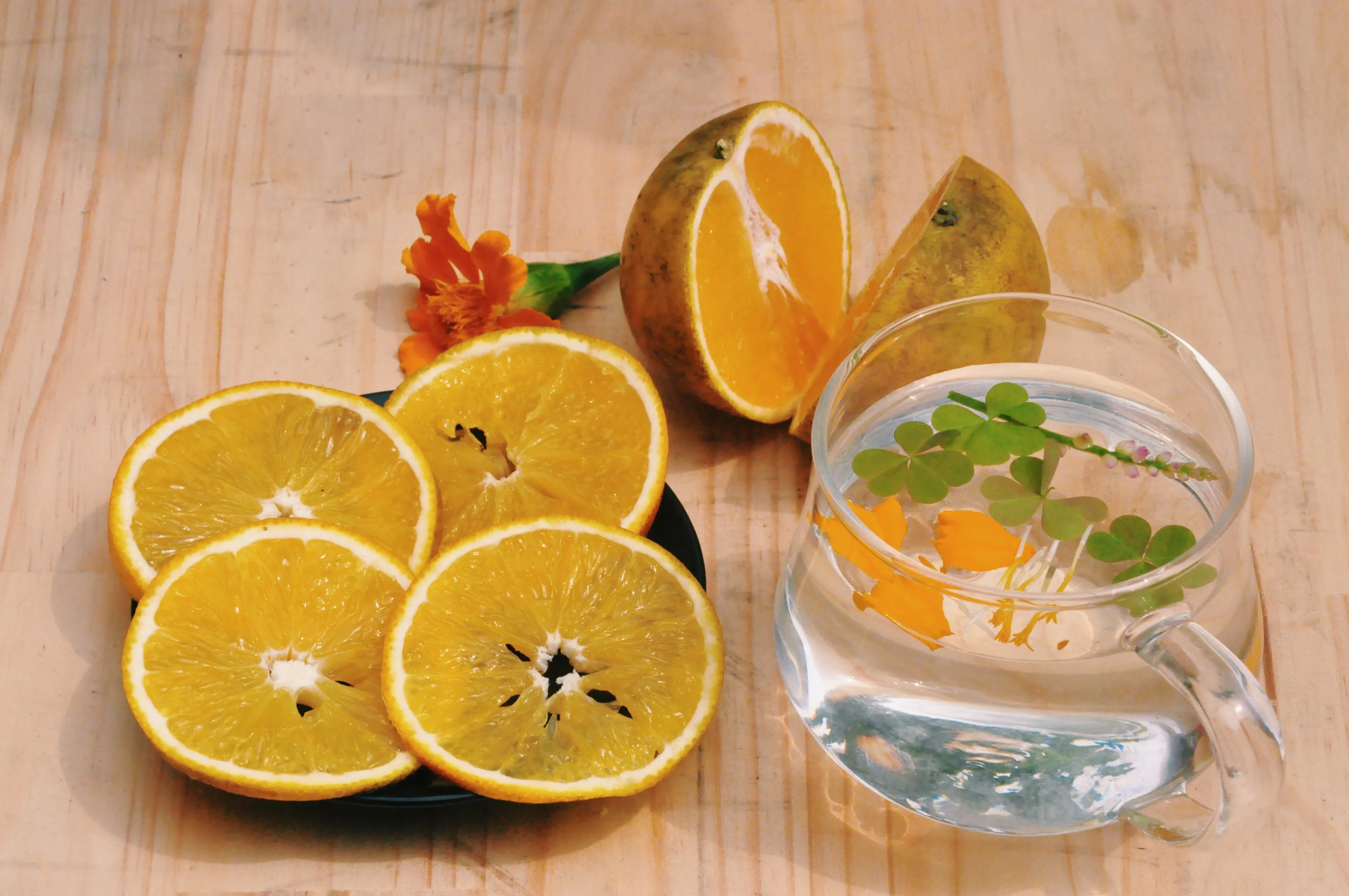 Hot Selling Delicious Sweet and Sour Fresh Citrus fruit Orange With Size 5 - 8.5cm Vietgap Certification