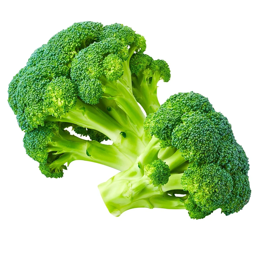 
High Quality Fresh Vegetable Green Broccoli 