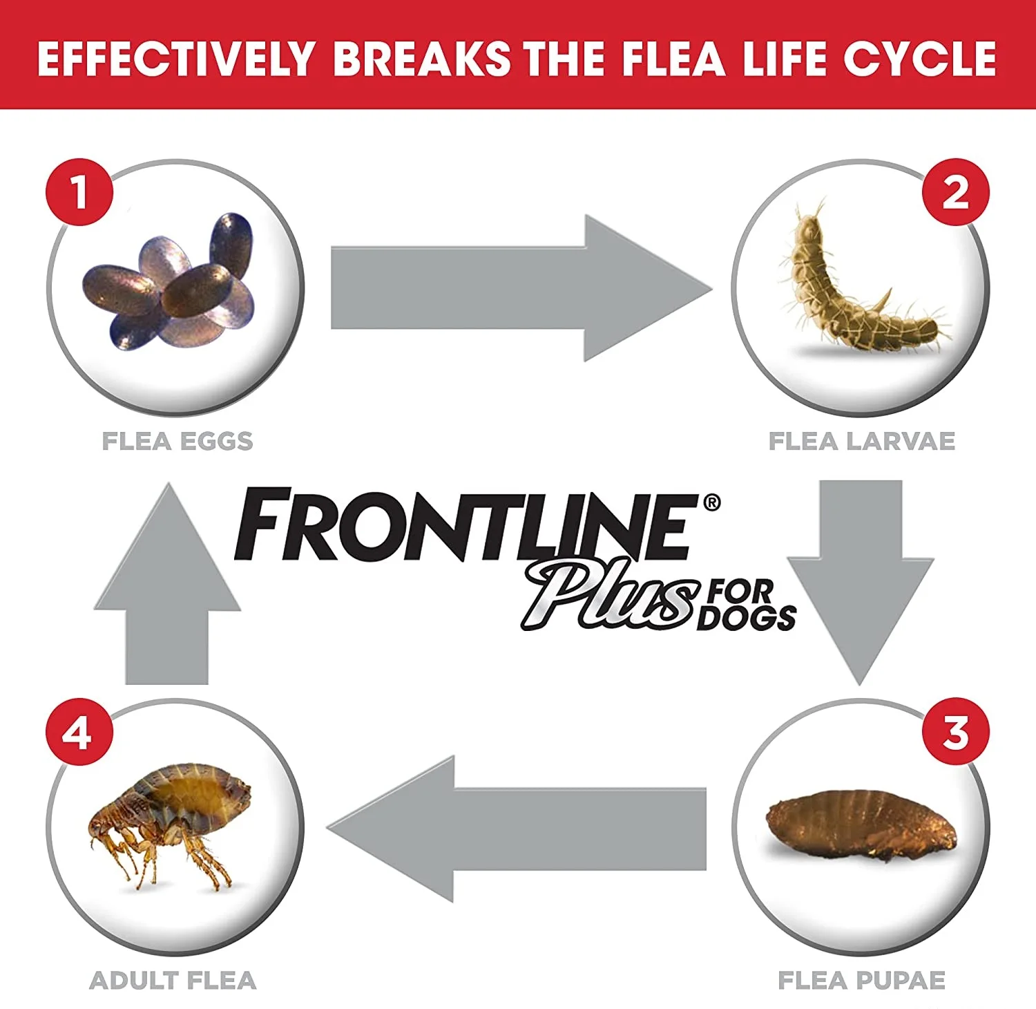 Frontline Plus for Dogs Extra Large Dog (89 to 132 pounds) Flea and Tick