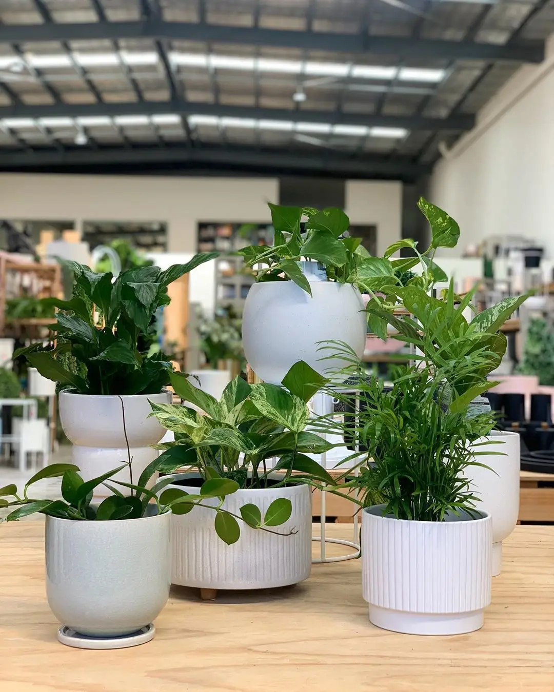 Mediterranean designs style tall shape plastic large size home garden pot planter vases made in Vietnam