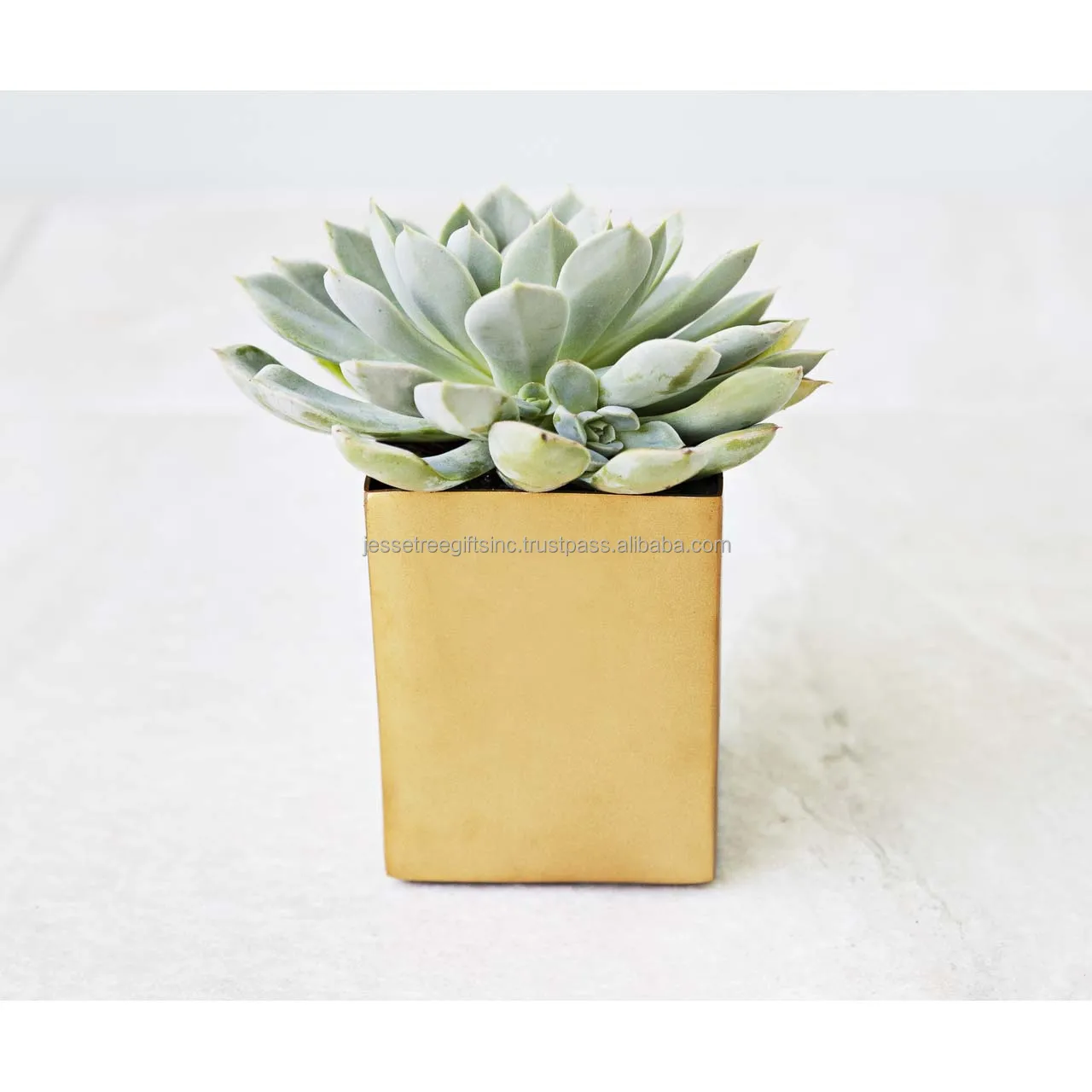 Metal Sheet Planter With White Powder Coating Finishing Embossed Design Oval Shape Genuine Quality For Garden Decoration