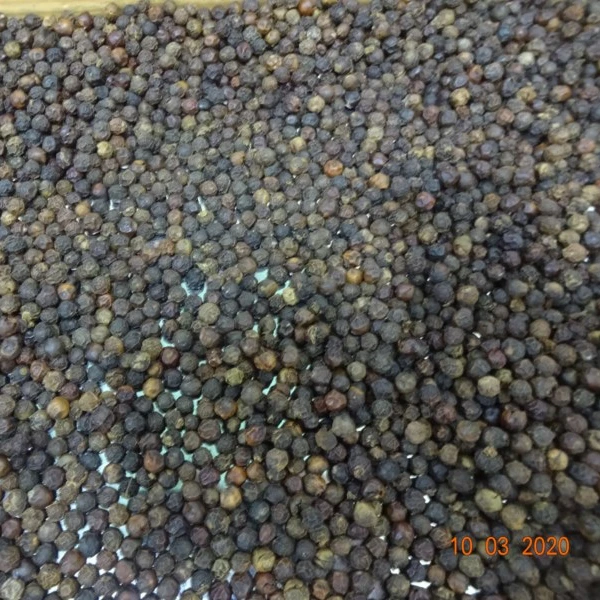 Quality Single Spice Black and White Pepper for Sale