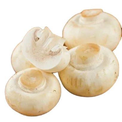 Wholesale white shimeji beech mushroom