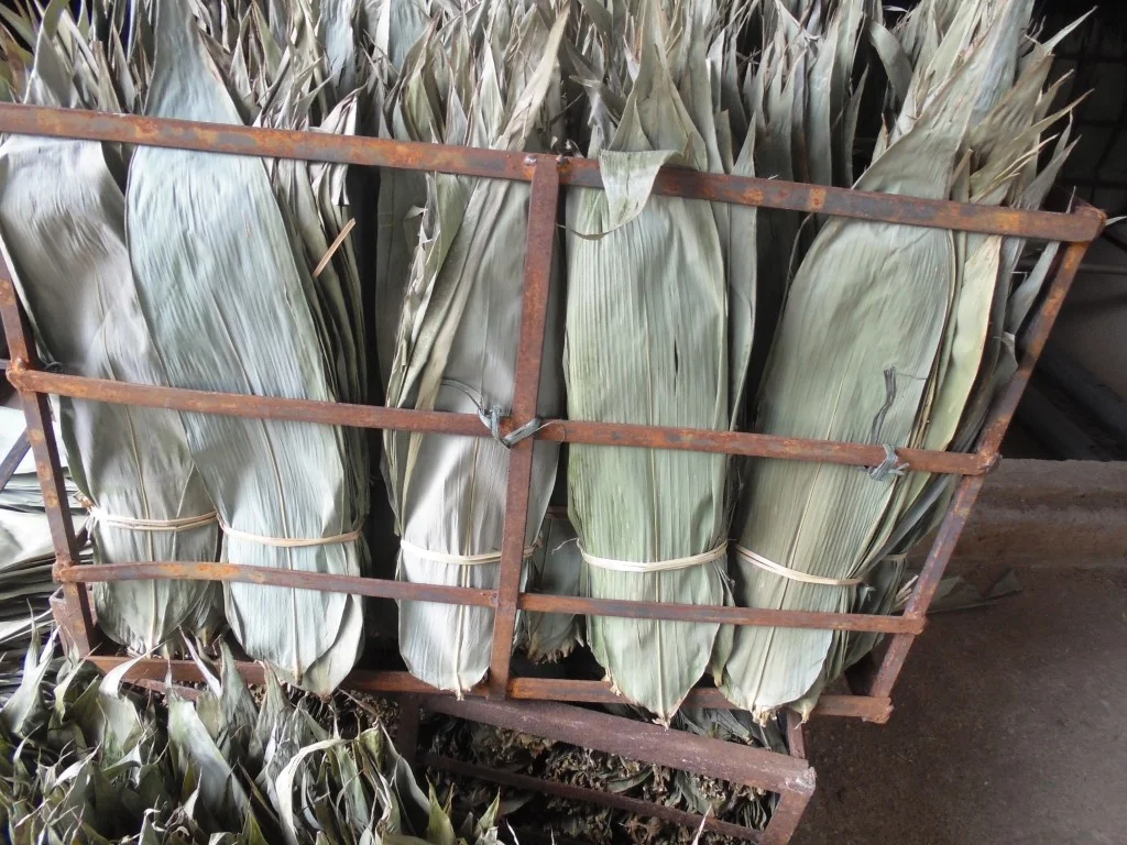 Dried bamboo leaves for cake from Vietnam , contact +84984418844