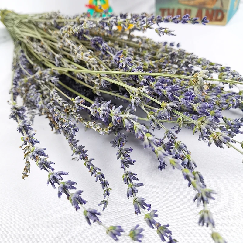 Wholesale High Quality 100g Per Pack Natural Dried Flowers Purple Lavender Bunches Dried Lavender