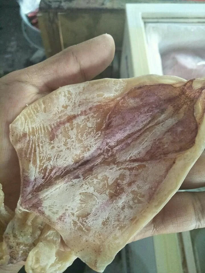  Хит продаж сушеные морепродукты большой кальмар 84 896674503