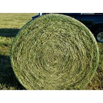 Гранулы Alfalfa дегидрация трава alfalfa сено корм для