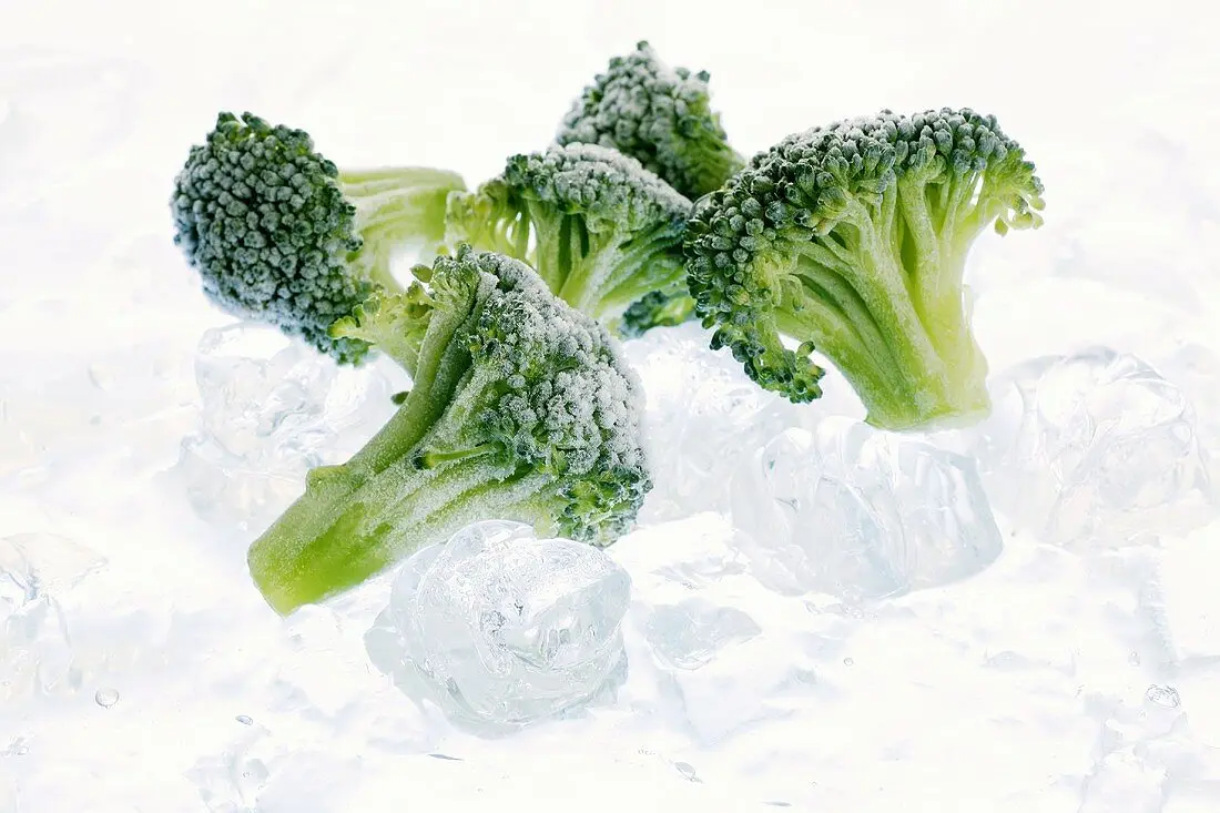 High quality Egyptian IQF Frozen Green broccoli vegetables for export
