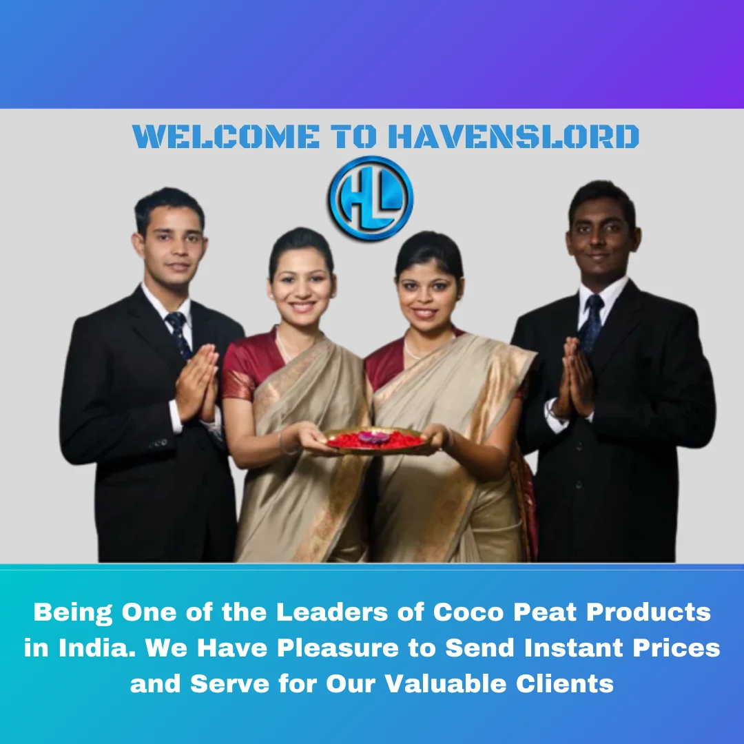 Cheapest Price Coconut Bricks Coco Peat Blocks from Indian Supplier