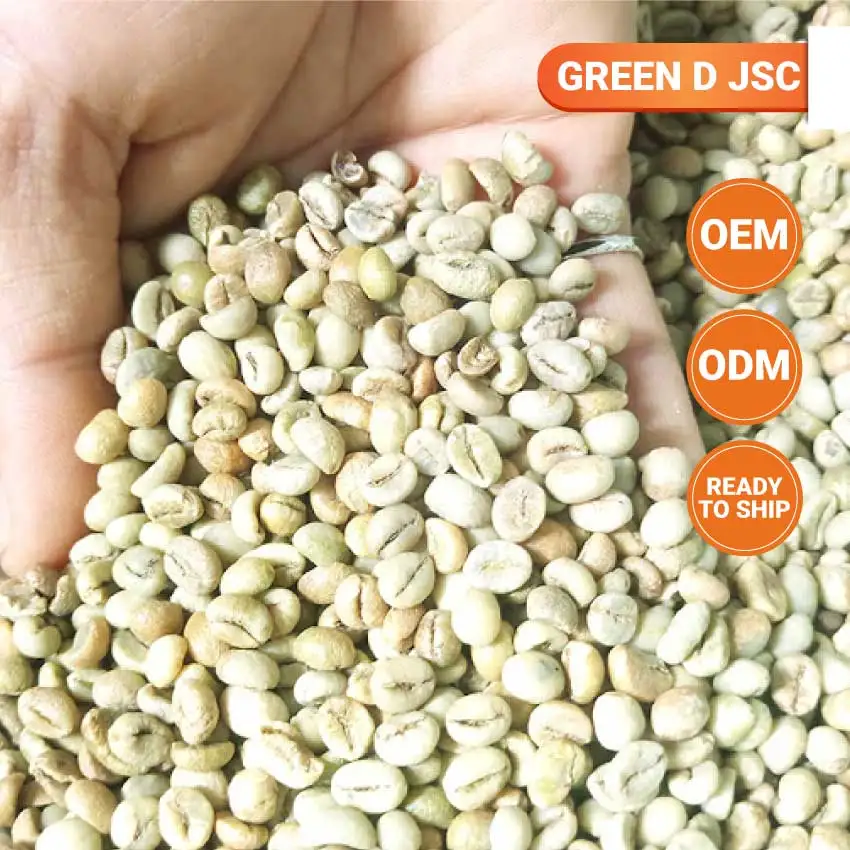 
Best Robusta Green Raw Coffee Beans With Shelf Life 26 Months In Plastic Packaging From Vietnam 