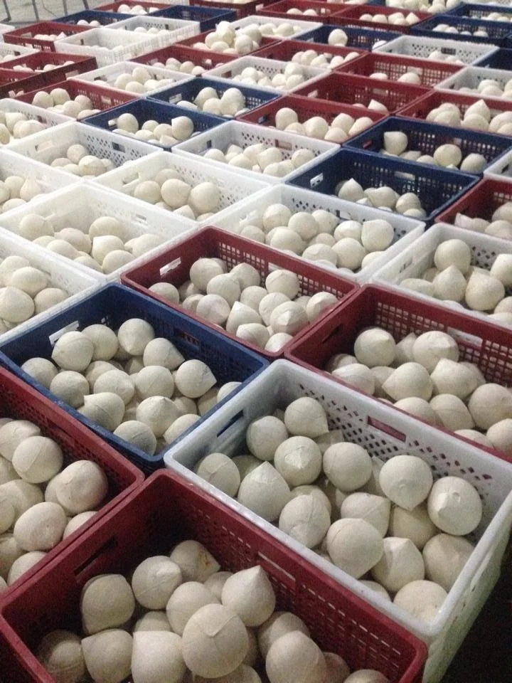 Super Sale Fresh Young Coconut Natural And Good Taste From Vietnam With High Quality