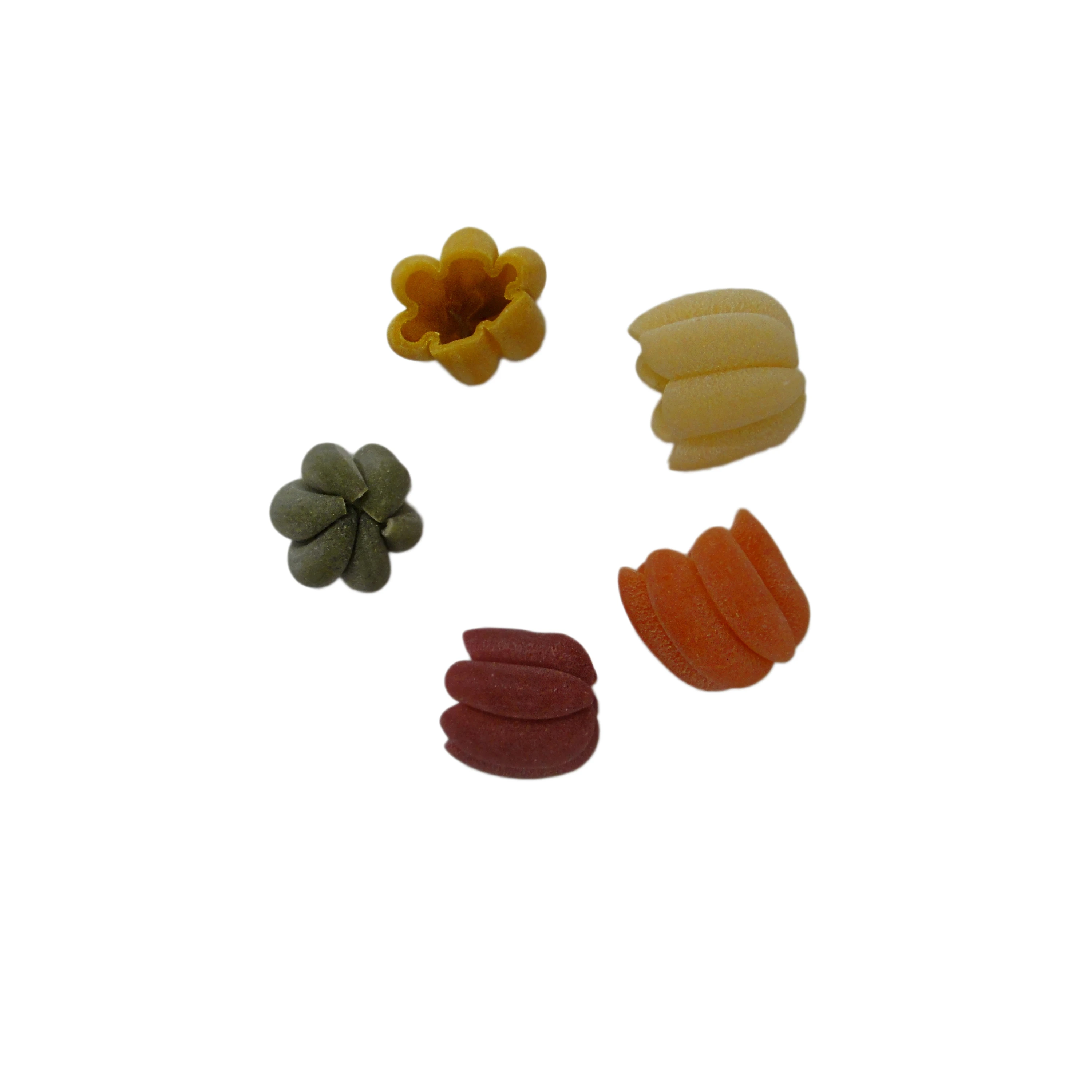 gourmet Pasta Zucchette Italian Organic noodles premium pasta for Cooking 500gr