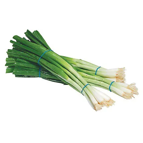 Scallions Vegetables / Spring Onion