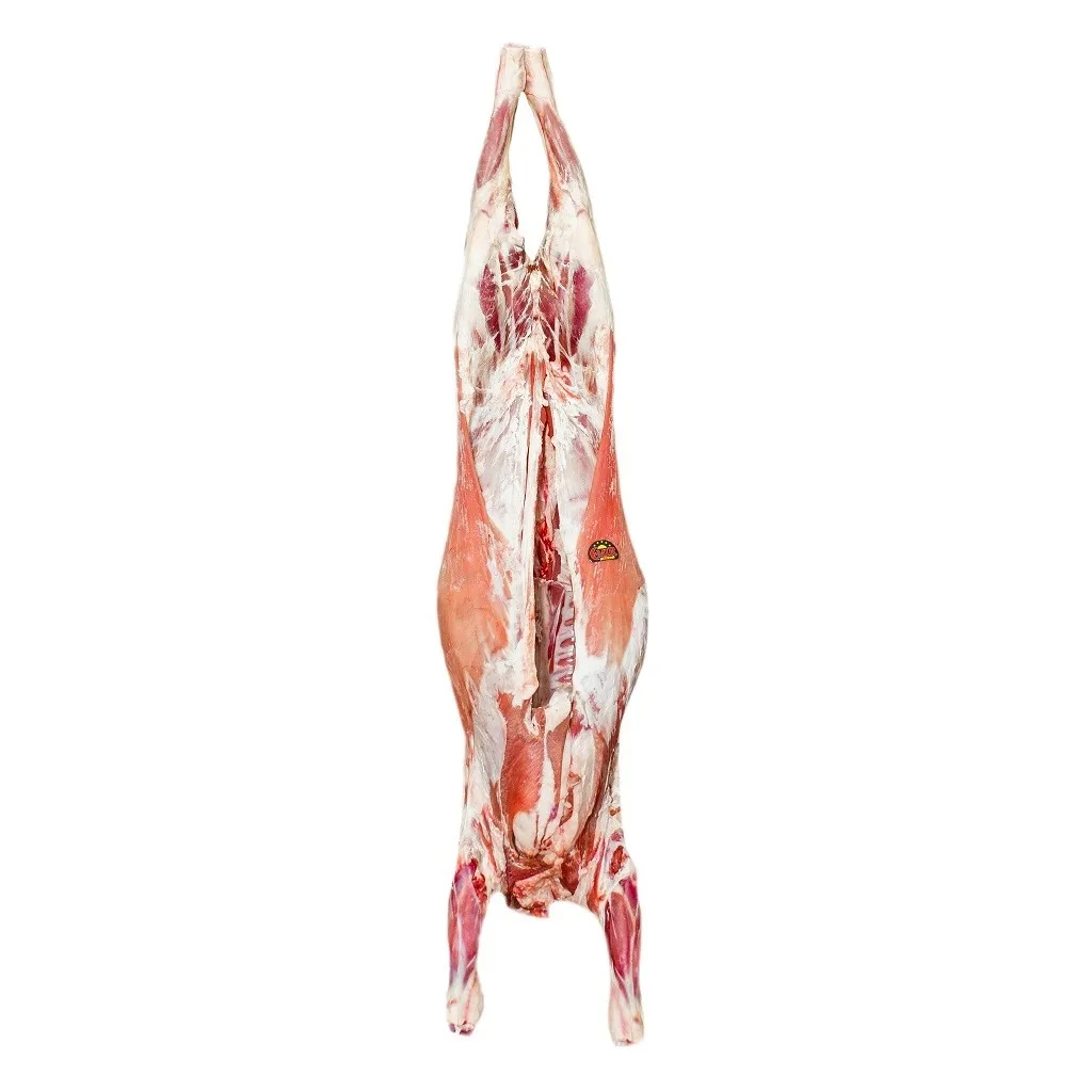 Frozen Lamb Meat,Mutton,Goat,Veal,Beef,Venison and Carcass