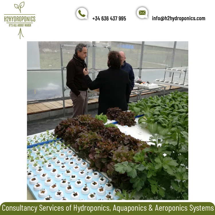Extremely Qualified Hydroponics/Aquaponics Project Consultation Service