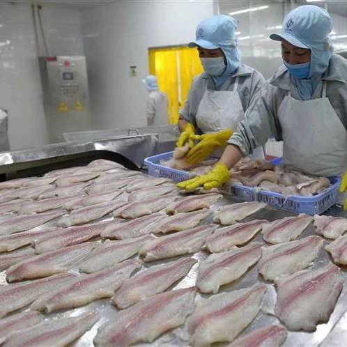 Самый продаваемый филе рыбы Премиум замороженное качество поставка с завода pangasius + 8465 323 383