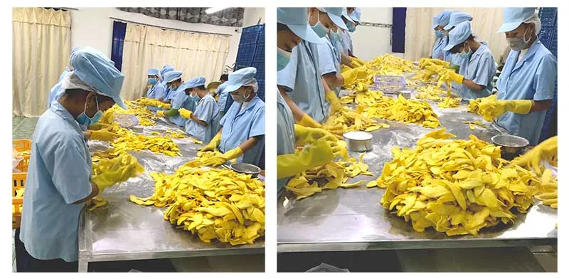 Made in Vietnam Soft Dried Mango Factory OEM Dried Fruits Freeze Dried Mango