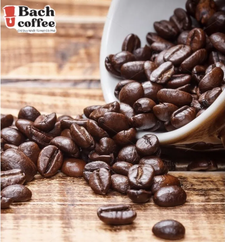 
Vietnamese Grade A high-altitude Beans - Beans Roasted Coffee Robusta - OEM - Direct Trade - Wholesale retail 