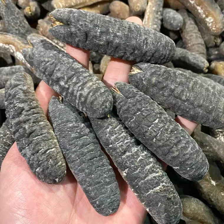 Wholesale Price Dried Sea Cucumber