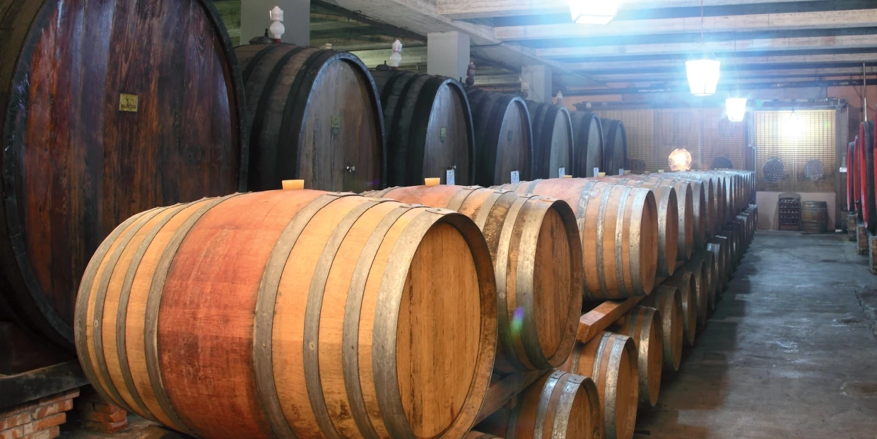 Высококачественное итальянское винное красное вино MERLOT DI Тоскана I.G.T. Петреа на заказ