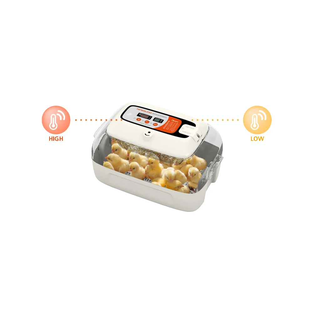 High-reliability Automatic Temperature Control Function Chicken Brooder Rcom KINGSURO MAX BROODER