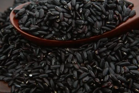  Черный рис с длинным зерном GAO NEP THAN-лучшее качество хорошее предложение (мс Деми + 84 961 733 400)