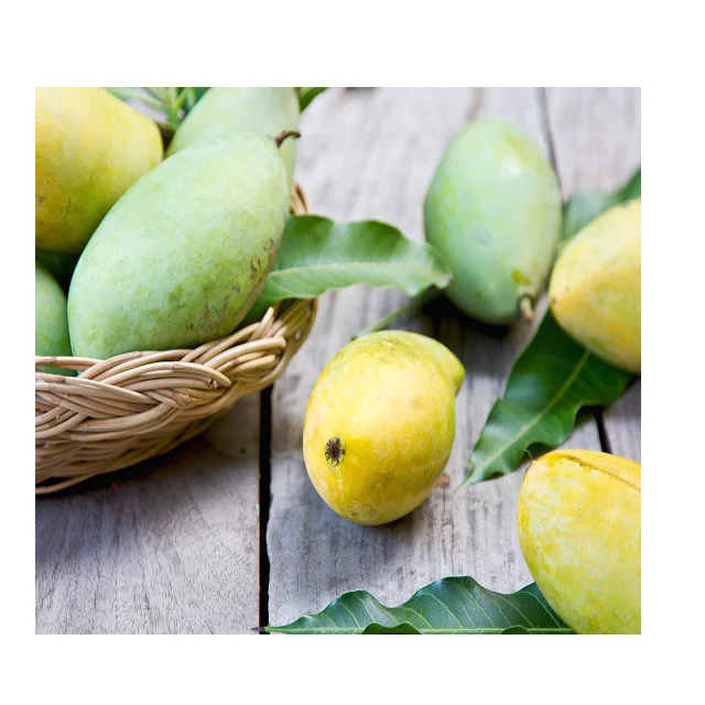 Cheap Wholesale Price Keitt Pakistani Mangoes In Bulk