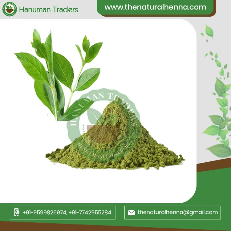 Top Notch Quality  Selling Henna Leaf Powder natural organic powder For Hair Dyes Products Manufacturer in India