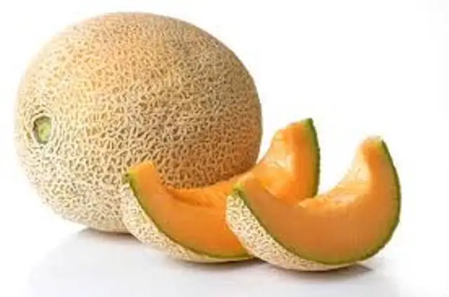 
Orange flesh strong growth anti wilt disease hybrid musk melon seeds 