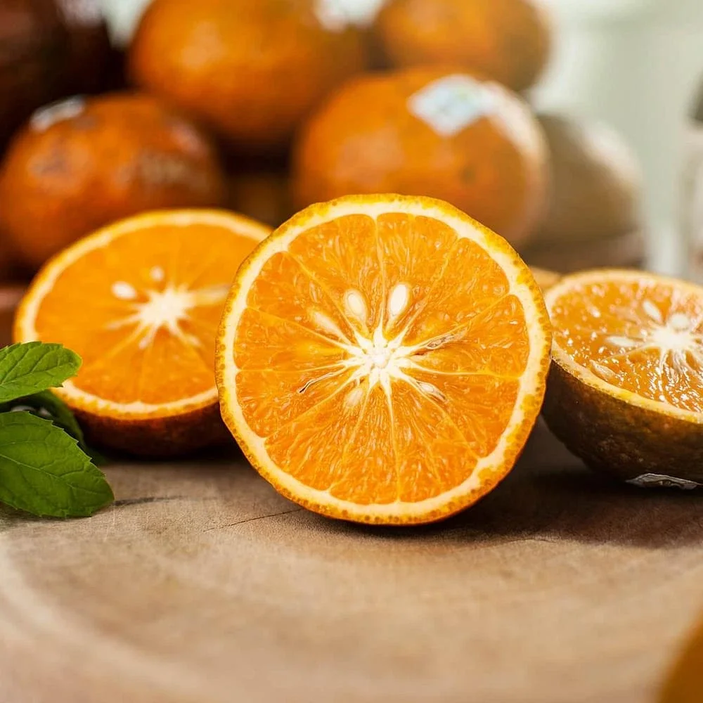 Ha Giang Province Orange made in vietnam 100% Natural Organic Cultivation type Wholesale Hot 2022