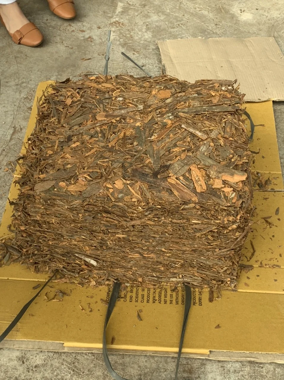 Cinnamon Broken Pressed/ Pressed Cinnamon Cassia/ Vietnam Cinnamon New Crop 2021