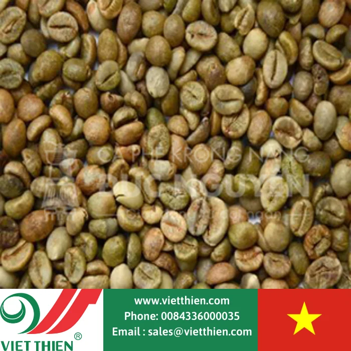Кофейные зерна с отличным вкусом Robusta выбираются и обрабатываются оптом для экспорта во всем мире от вьетнамских фермеров