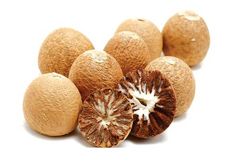 BETEL NUTS, ROUND OR A HALF ARECA NUTS HIGH QUALITY