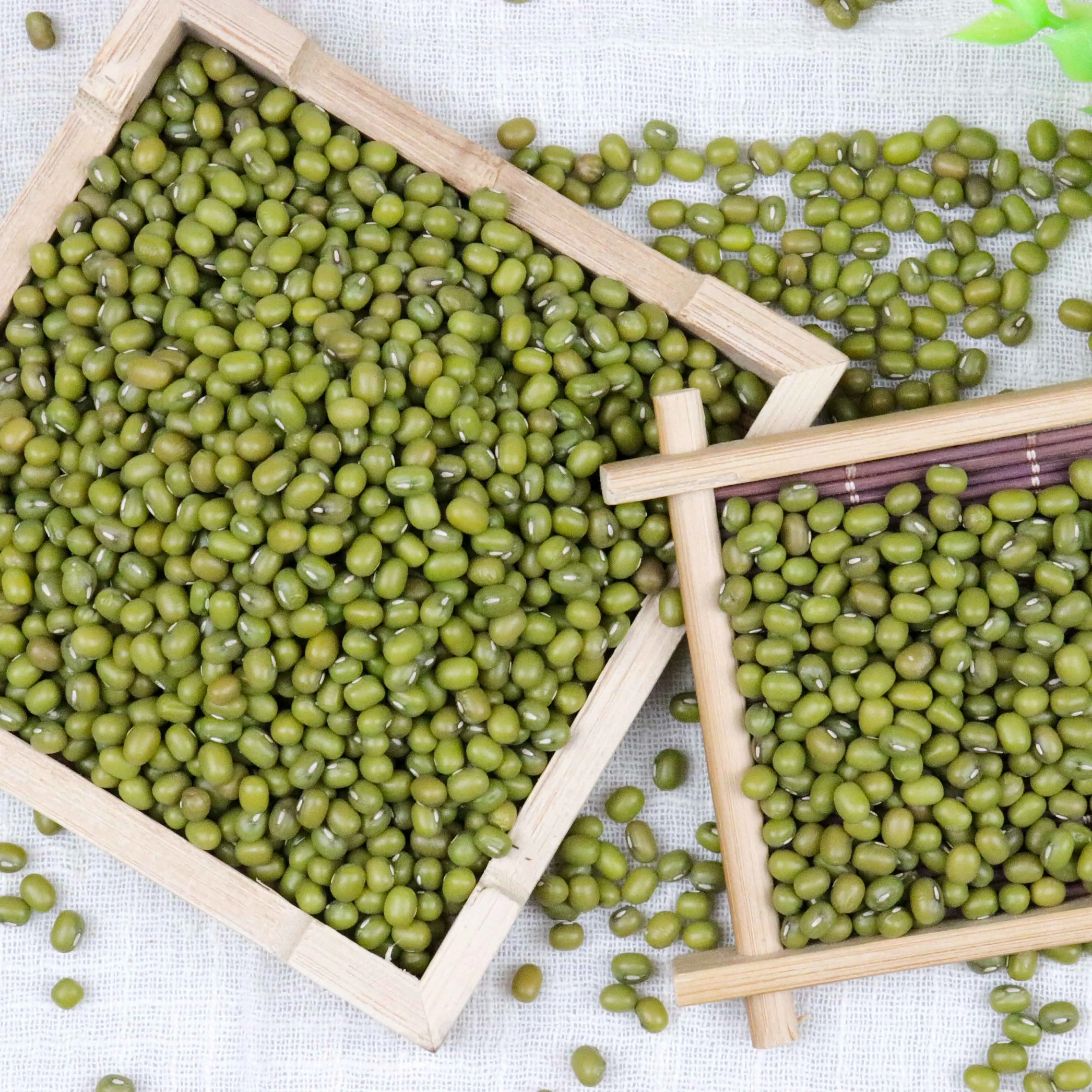 
Dal Mung Beans from China Grade a Green Max Pastel ALCHEMY Selected Crop Bulk Style Packaging Pack Newest Color Weight Machine 