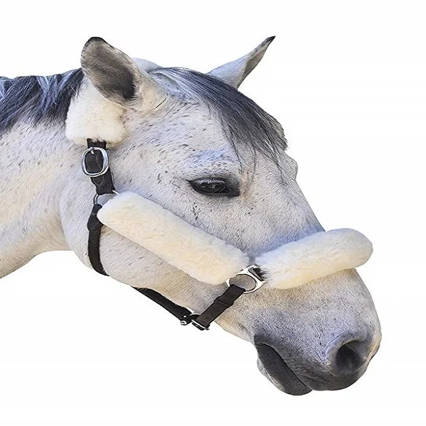 
Fleece padded Horse Halter Manufacturers 