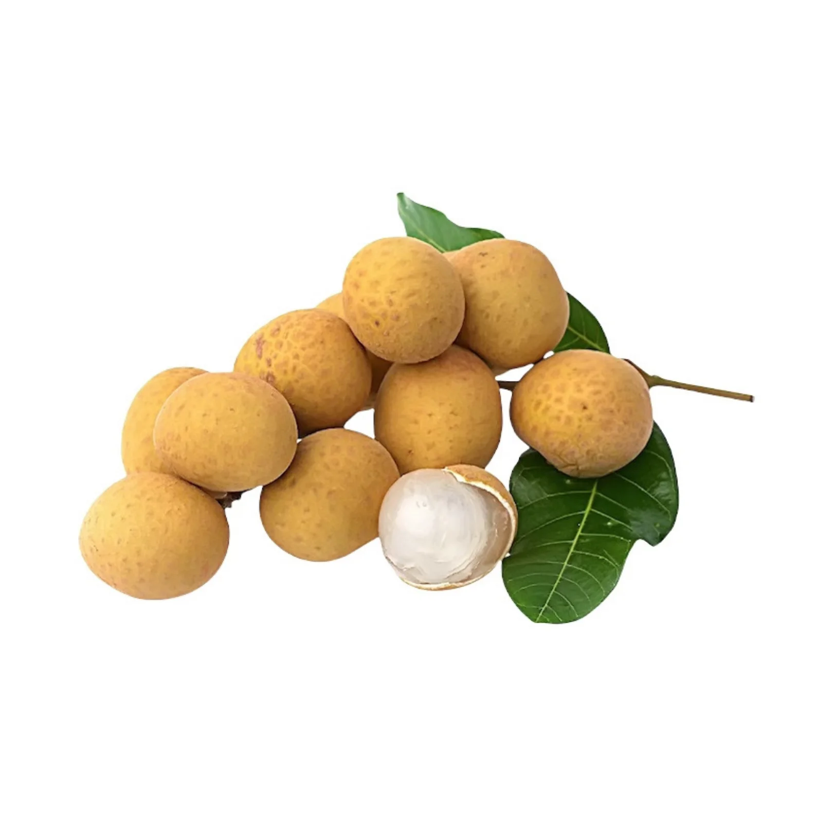 Thailand Premium Fresh Longan -  tropical fruit from Thailand (Direct from Farmer) OEM packaging
