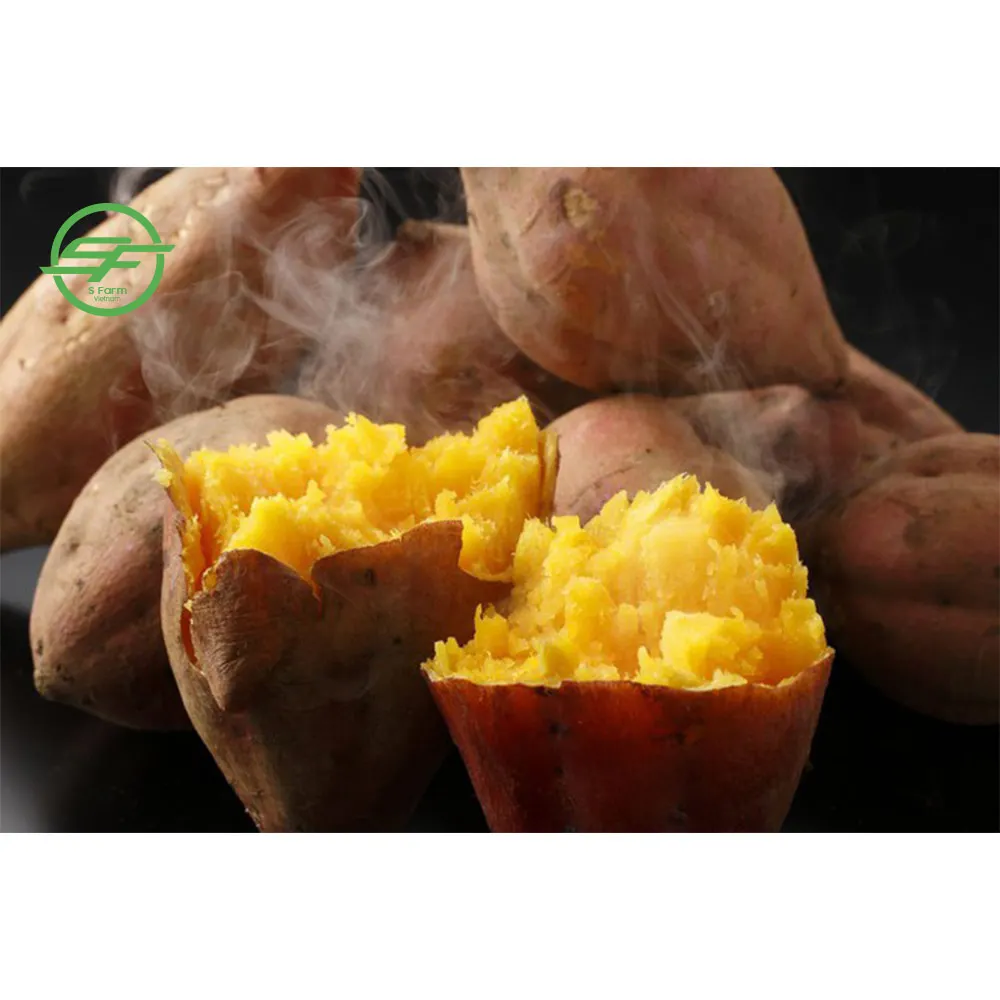 Organic fresh sweet potatoes from Vietnam healthy vegetables fresh sweet potato seeds