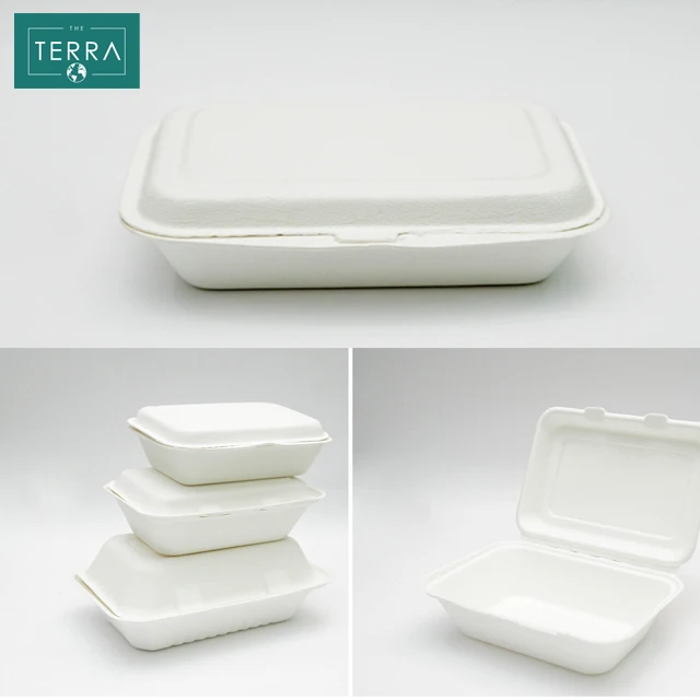 Vietnam Quality Food Biodegradable Packaging Surgarcane Bagasse Areca leaf White Natural RETANGUKAR Box With Lid